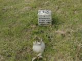 image of grave number 950573